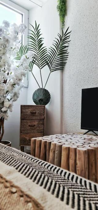 #New#Terrasse Sud Ouest#Pied De La Cite #1 Apartment การ์กาซอน ภายนอก รูปภาพ