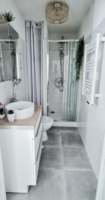 #New#Terrasse Sud Ouest#Pied De La Cite #1 Apartment การ์กาซอน ภายนอก รูปภาพ